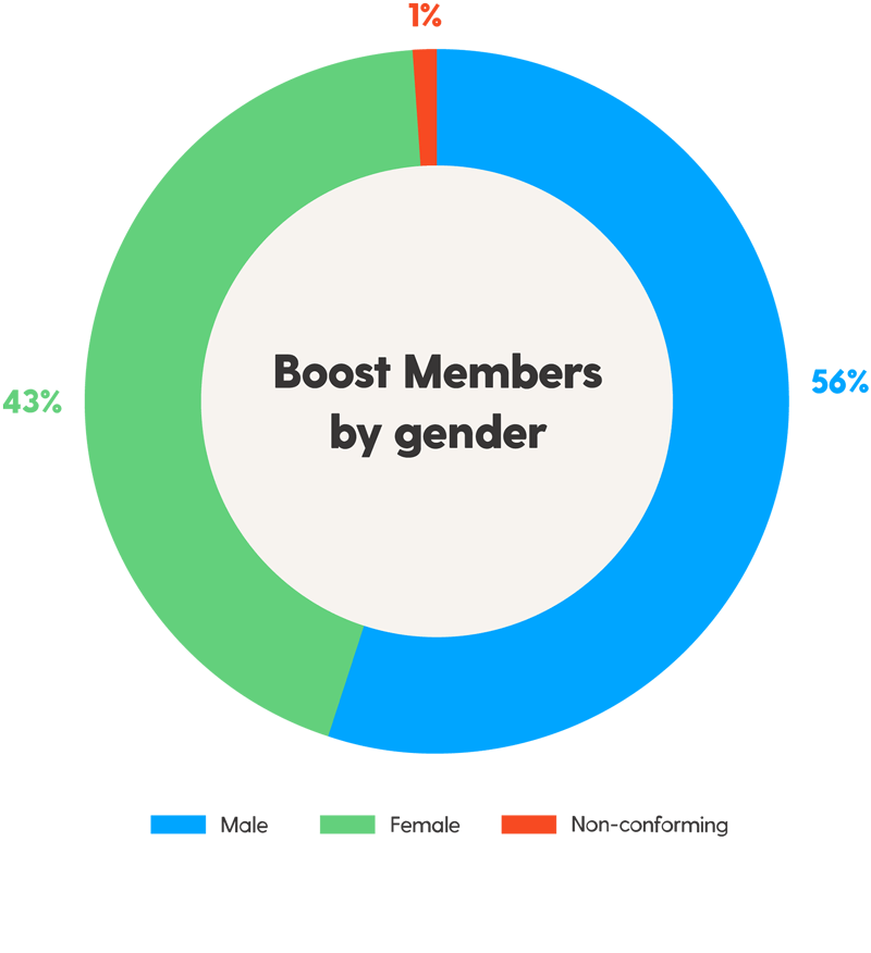 Pie chart showing Boost Members by gender